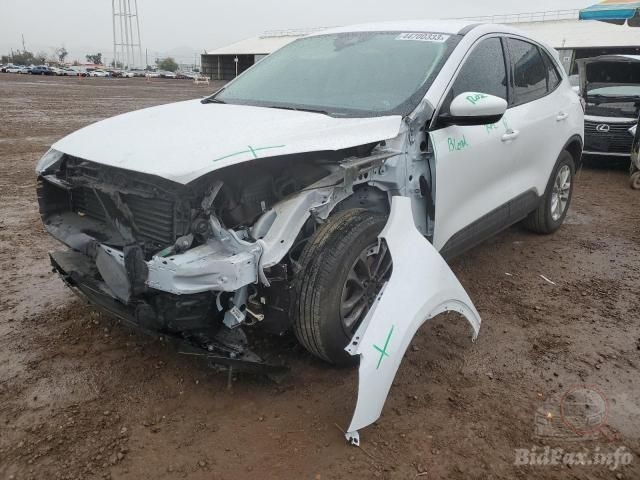 Фото на других сайтах