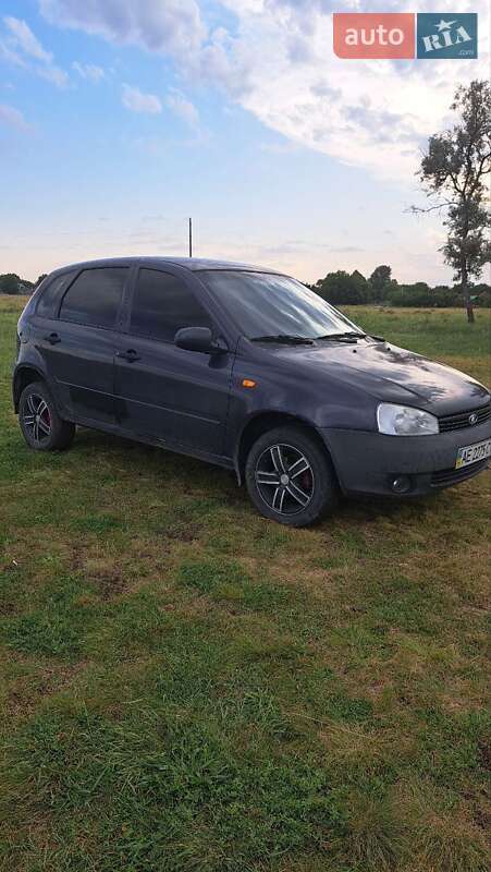 Универсал ВАЗ / Lada 1117 Калина 2008 в Павлограде