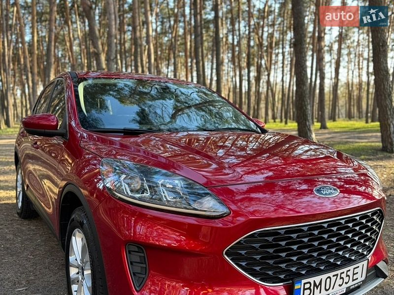 Внедорожник / Кроссовер Ford Escape 2020 в Киеве Внедорожник / Кроссовер Ford Escape 2020 в Киеве