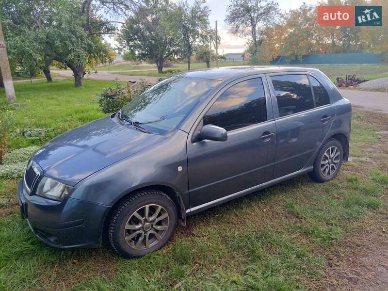 Хэтчбек Skoda Fabia 2005 в Кропивницком