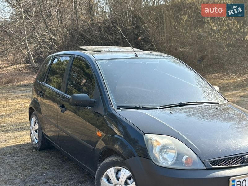 Хэтчбек Ford Fiesta 2002 в Кременце Хэтчбек Ford Fiesta 2002 в Кременце