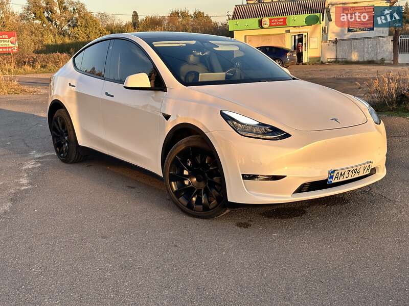 Внедорожник / Кроссовер Tesla Model Y 2020 в Олевске