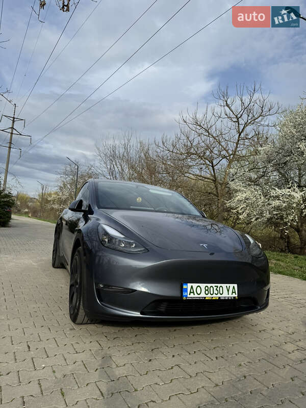 Внедорожник / Кроссовер Tesla Model Y 2023 в Ужгороде