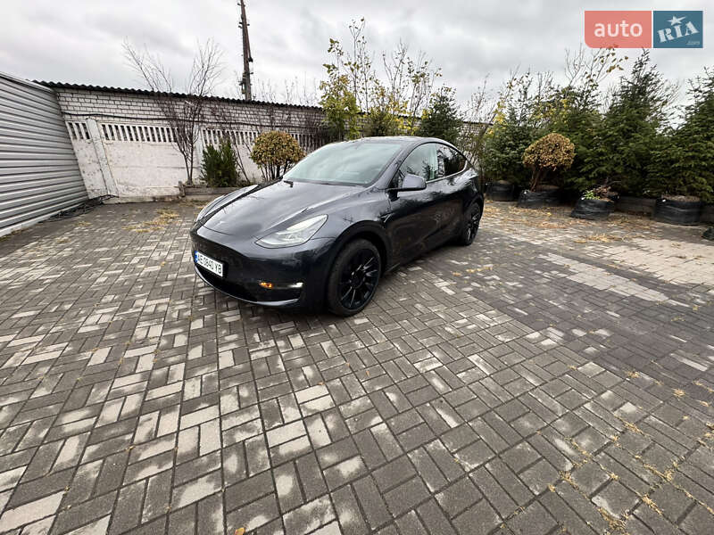 Внедорожник / Кроссовер Tesla Model Y 2024 в Днепре