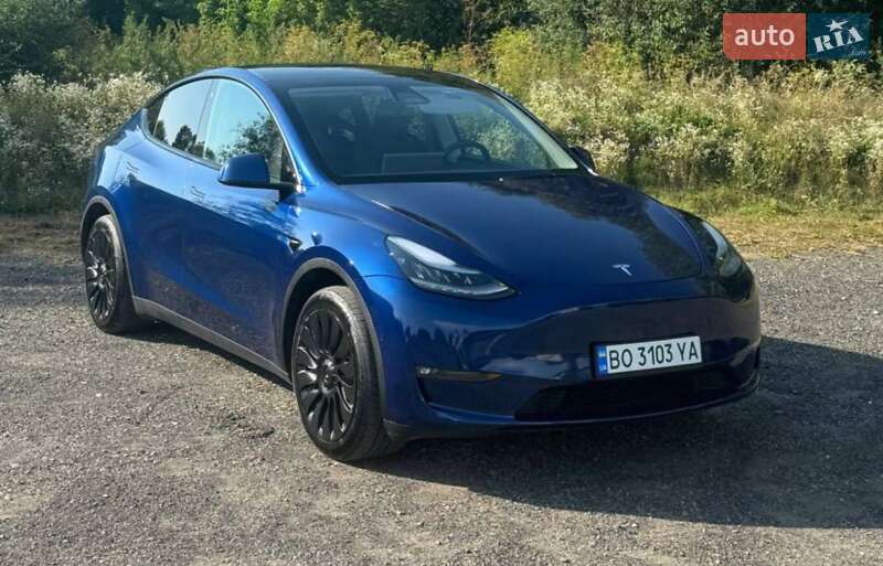 Внедорожник / Кроссовер Tesla Model Y 2021 в Ивано-Франковске