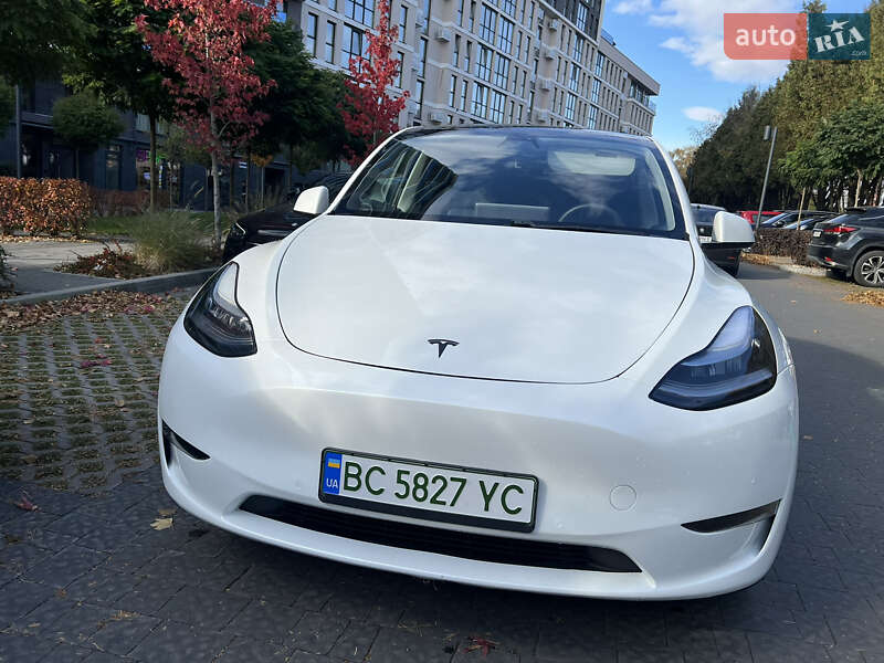 Внедорожник / Кроссовер Tesla Model Y 2020 в Львове
