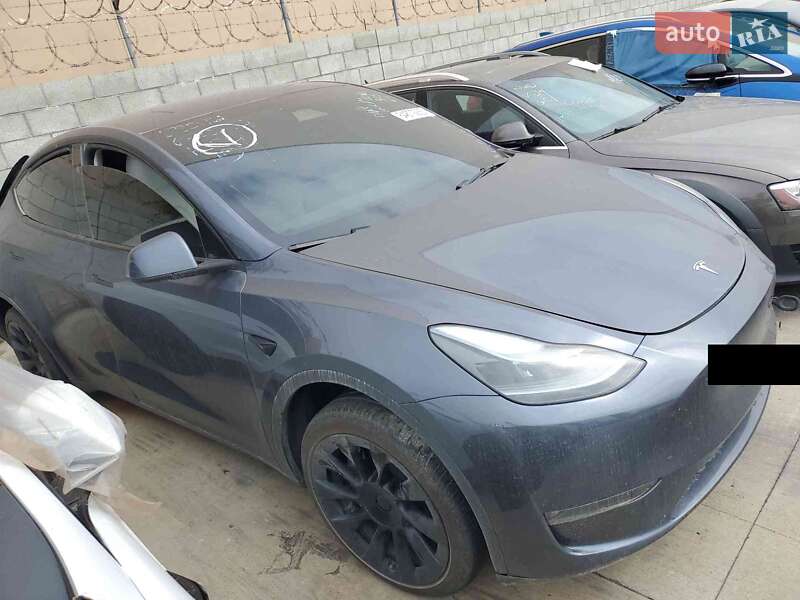 Внедорожник / Кроссовер Tesla Model Y 2023 в Киеве