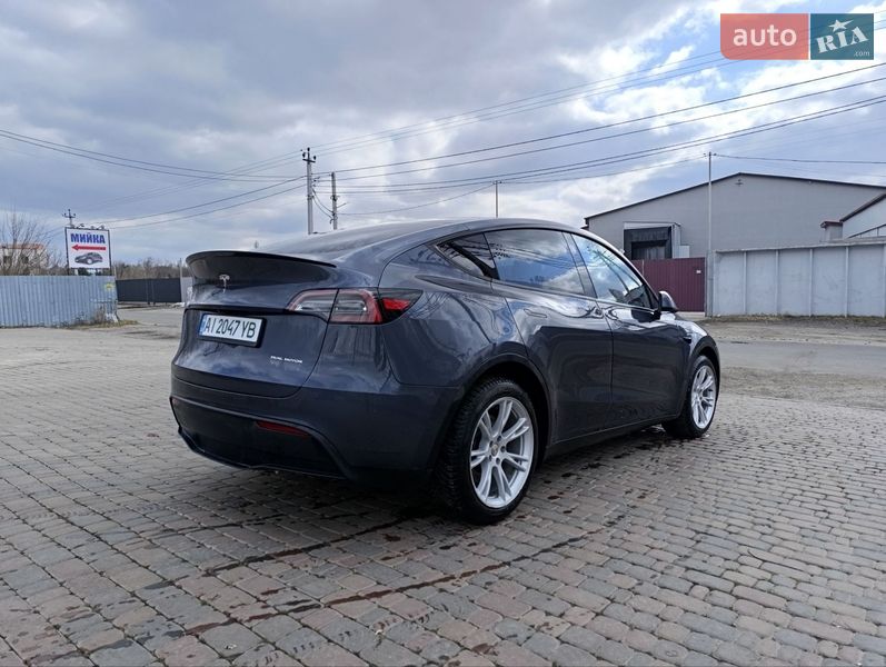 Внедорожник / Кроссовер Tesla Model Y 2023 в Борисполе Внедорожник / Кроссовер Tesla Model Y 2023 в Борисполе