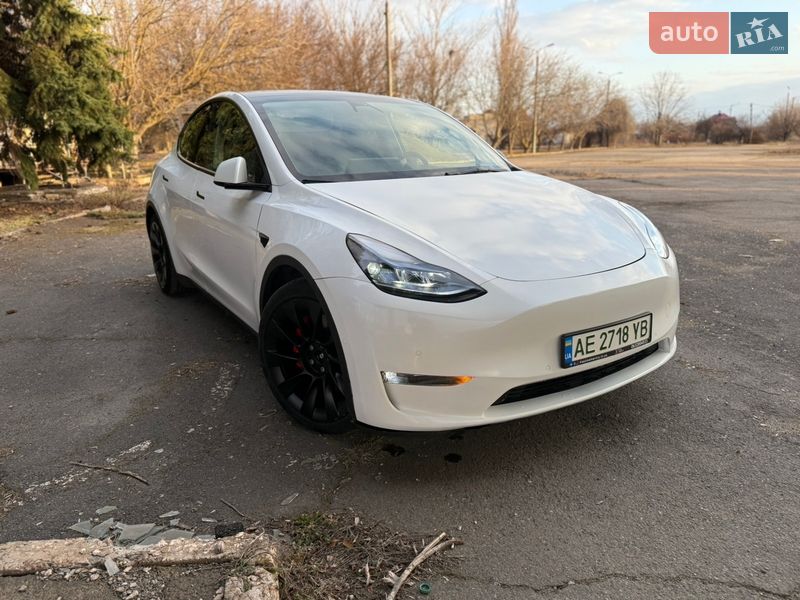 Внедорожник / Кроссовер Tesla Model Y 2021 в Кривом Роге