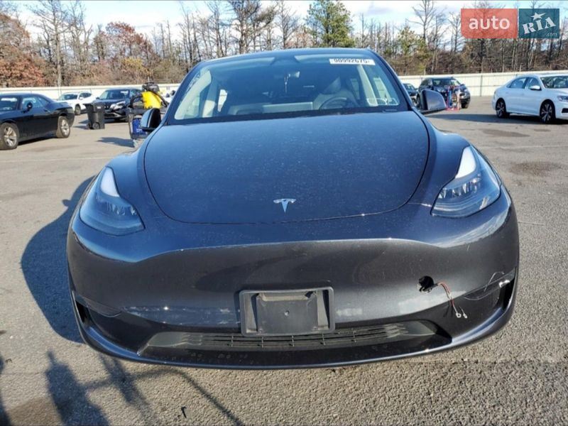 Позашляховик / Кросовер Tesla Model Y 2024 в Запоріжжі