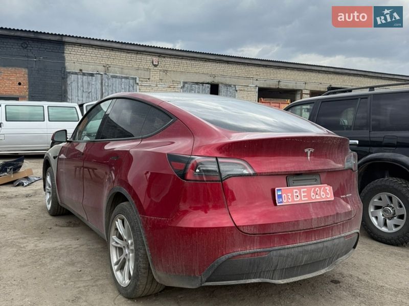 Позашляховик / Кросовер Tesla Model Y 2024 в Луцьку