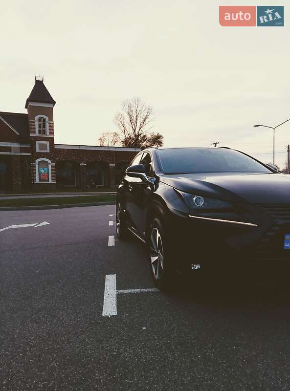 Внедорожник / Кроссовер Lexus NX 2019 в Киеве Внедорожник / Кроссовер Lexus NX 2019 в Киеве