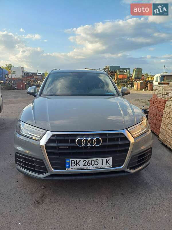 Внедорожник / Кроссовер Audi Q5 2019 в Сарнах