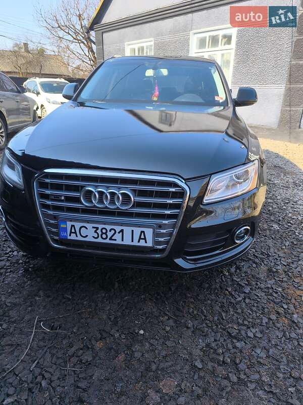 Внедорожник / Кроссовер Audi Q5 2016 в Луцке Внедорожник / Кроссовер Audi Q5 2016 в Луцке