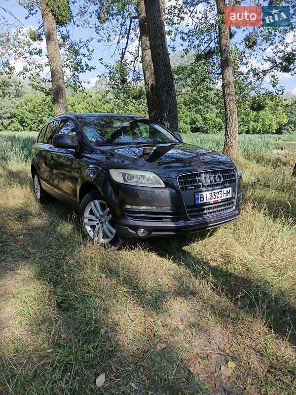 Внедорожник / Кроссовер Audi Q7 2006 в Гадяче