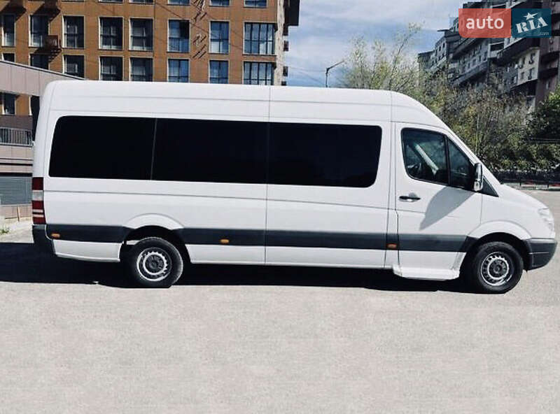 Микроавтобус Mercedes-Benz Sprinter 2010 в Кривом Роге