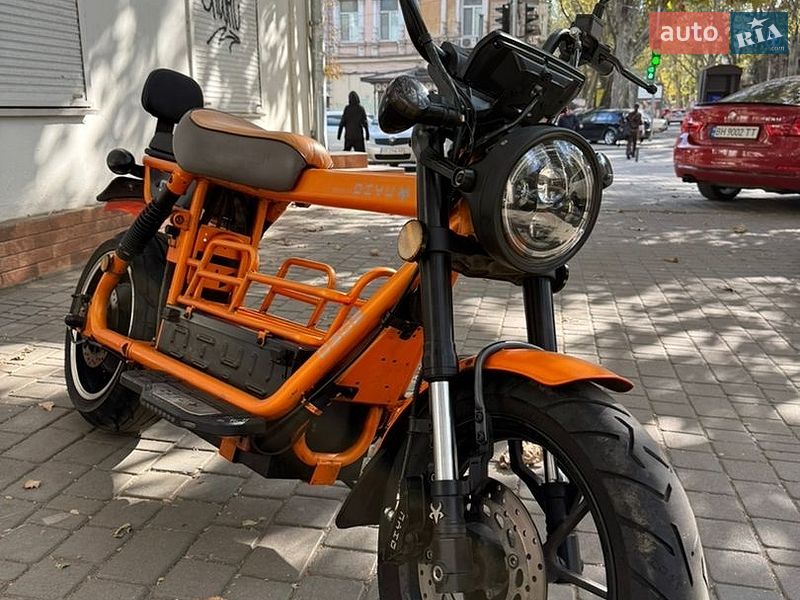 AIMA Tiger 2025