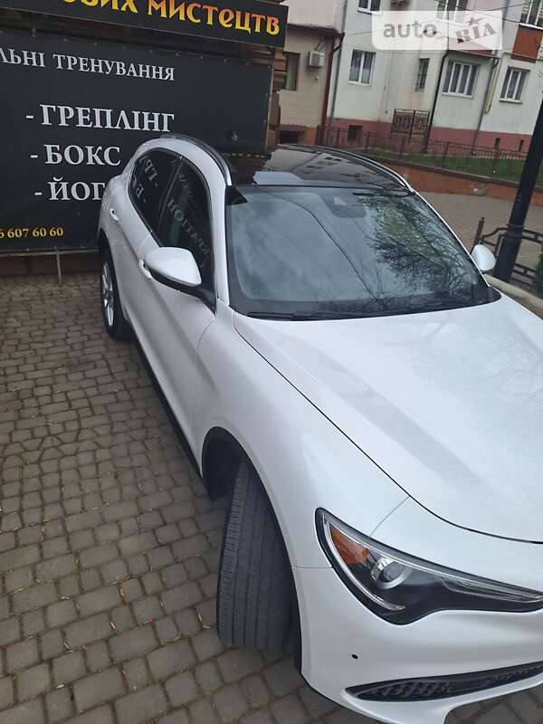 Внедорожник / Кроссовер Alfa Romeo Stelvio 2018 в Черновцах