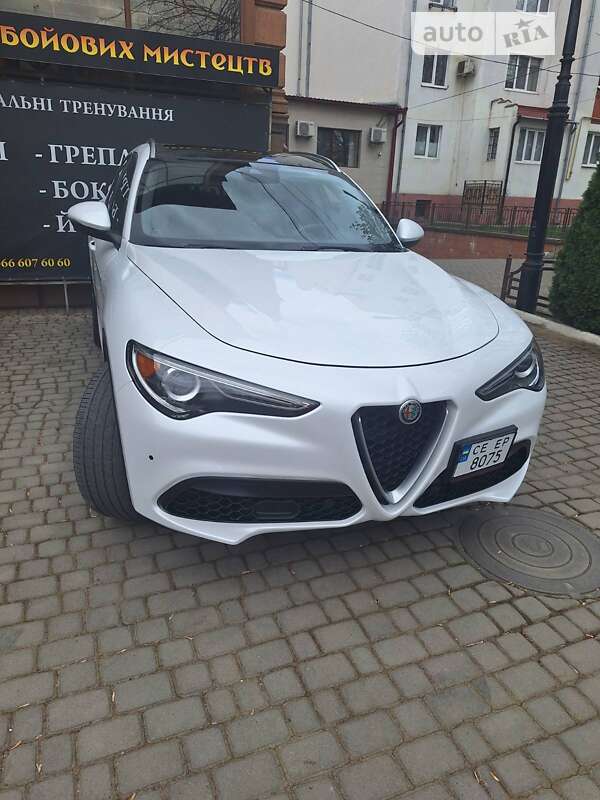 Внедорожник / Кроссовер Alfa Romeo Stelvio 2018 в Черновцах