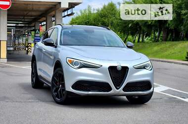 Внедорожник / Кроссовер Alfa Romeo Stelvio 2019 в Киеве