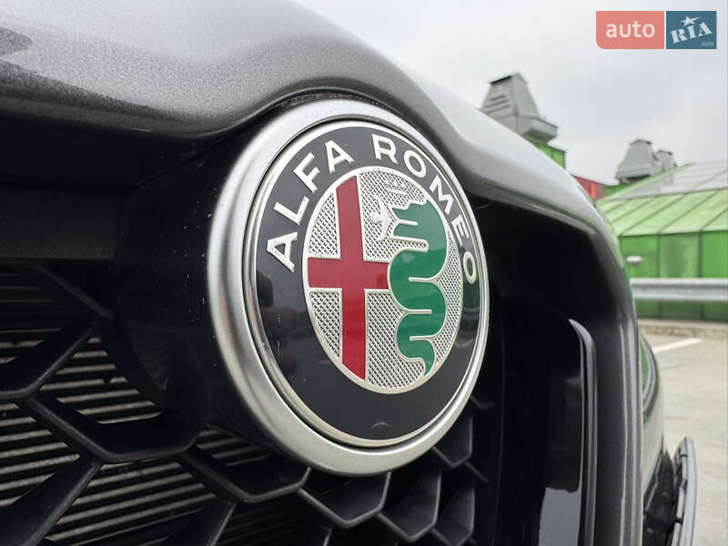 Позашляховик / Кросовер Alfa Romeo Stelvio 2021 в Києві