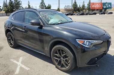 Позашляховик / Кросовер Alfa Romeo Stelvio 2020 в Рівному
