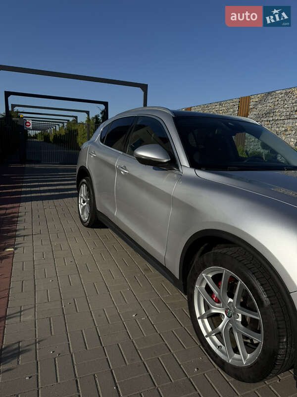 Позашляховик / Кросовер Alfa Romeo Stelvio 2019 в Києві