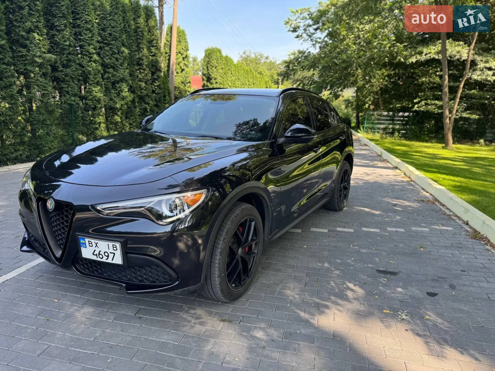 2019 Alfa Romeo Stelvio - фото 1