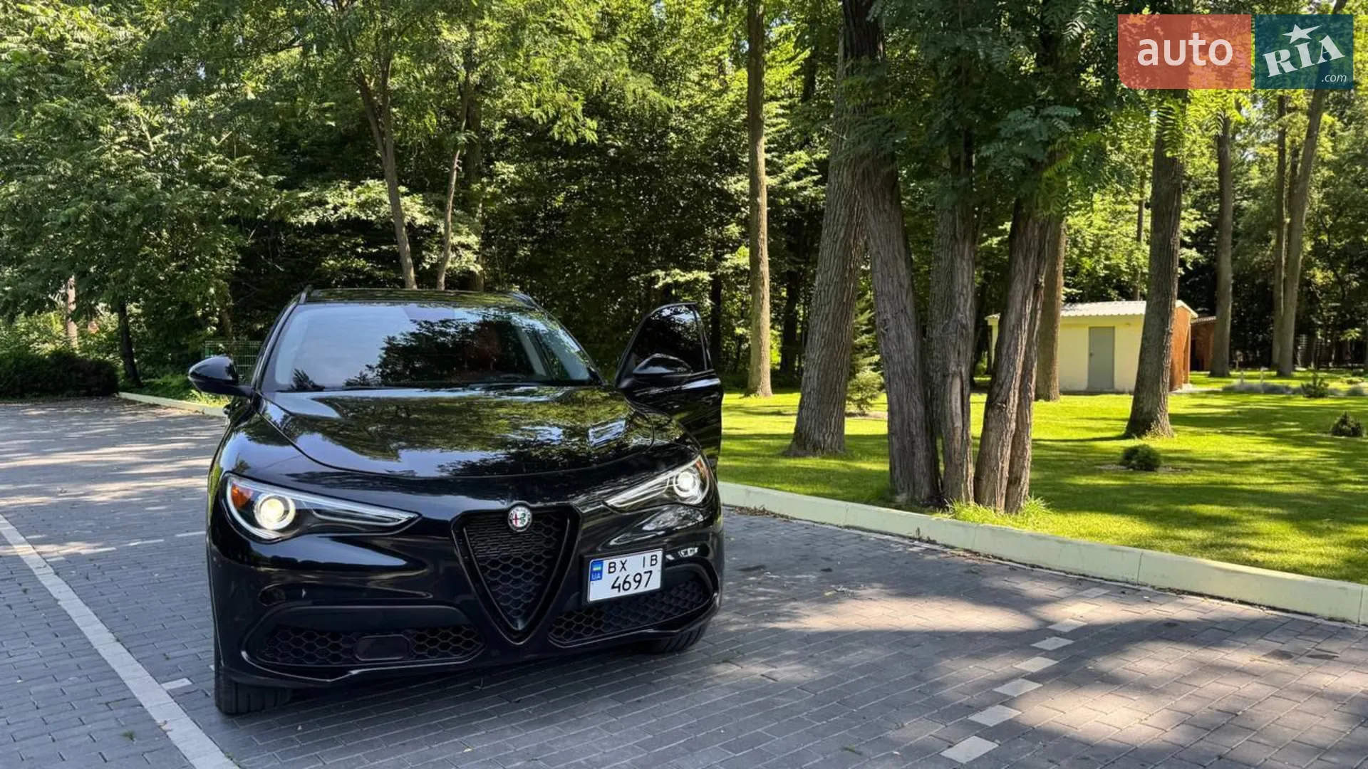 2019 Alfa Romeo Stelvio - мініатюра 7
