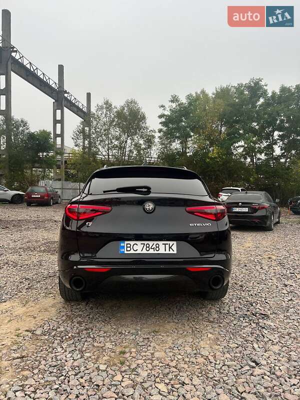 Внедорожник / Кроссовер Alfa Romeo Stelvio 2021 в Львове