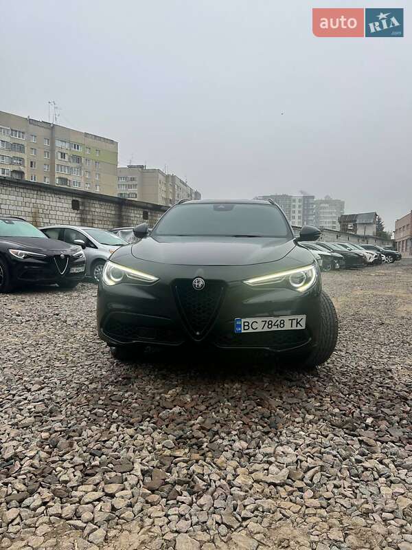 Внедорожник / Кроссовер Alfa Romeo Stelvio 2021 в Львове