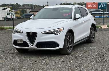 Внедорожник / Кроссовер Alfa Romeo Stelvio 2017 в Луцке
