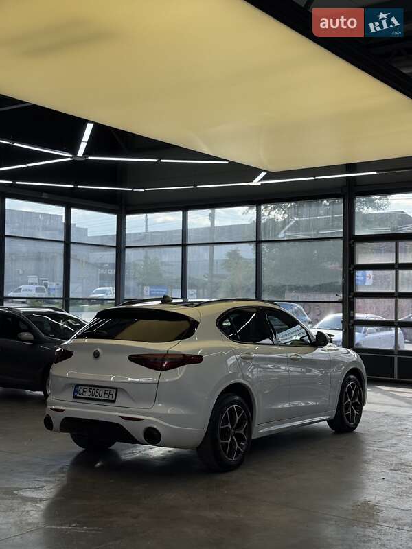 Внедорожник / Кроссовер Alfa Romeo Stelvio 2021 в Черновцах