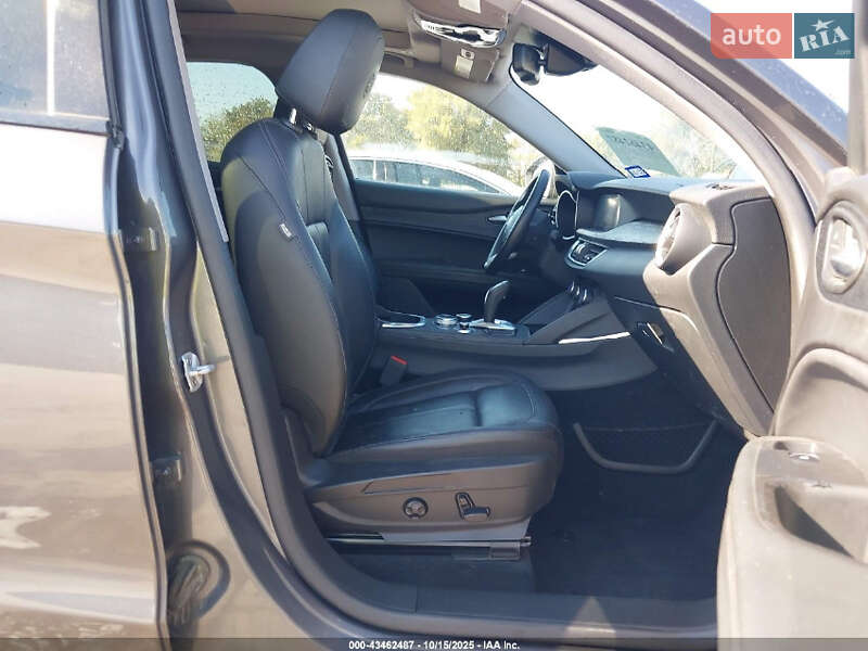 Внедорожник / Кроссовер Alfa Romeo Stelvio 2020 в Днепре фото 4 Внедорожник / Кроссовер Alfa Romeo Stelvio 2020 в Днепре