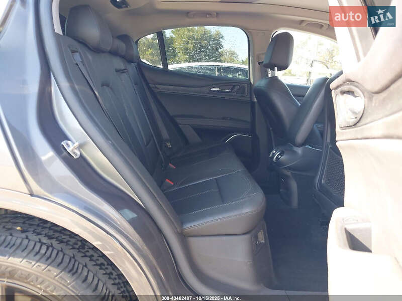 Внедорожник / Кроссовер Alfa Romeo Stelvio 2020 в Днепре фото 7 Внедорожник / Кроссовер Alfa Romeo Stelvio 2020 в Днепре