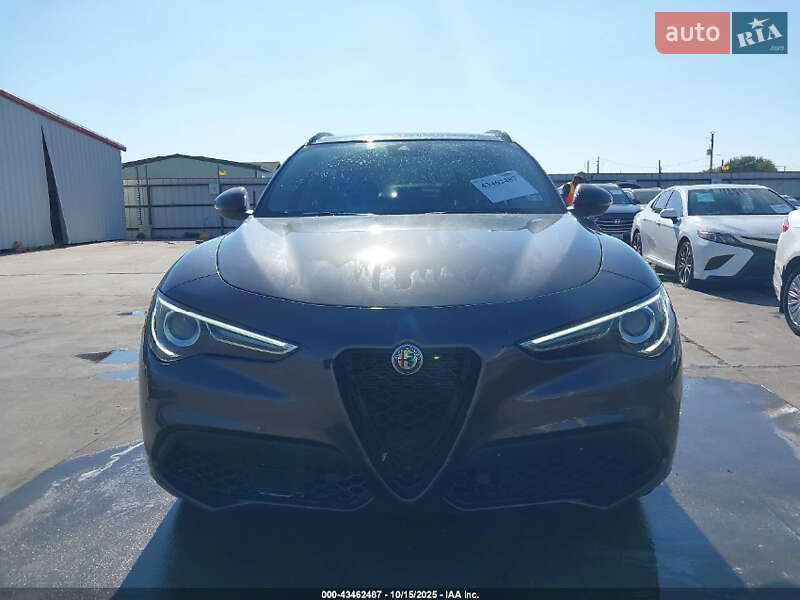 Внедорожник / Кроссовер Alfa Romeo Stelvio 2020 в Днепре фото 11 Внедорожник / Кроссовер Alfa Romeo Stelvio 2020 в Днепре
