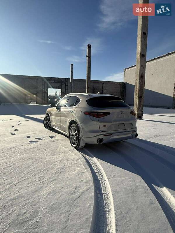 Внедорожник / Кроссовер Alfa Romeo Stelvio 2020 в Киеве
