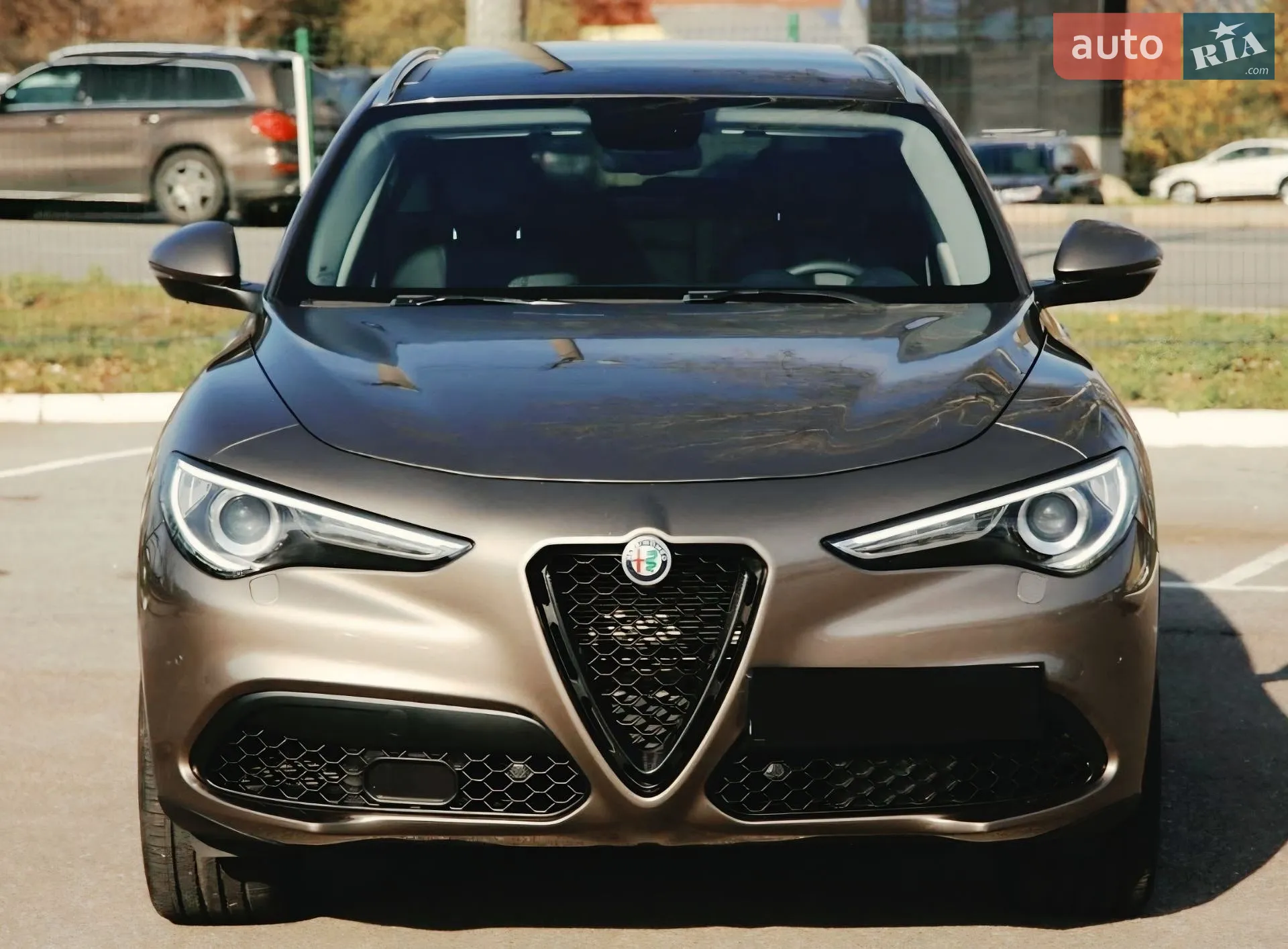 2019 Alfa Romeo Stelvio - мініатюра 3