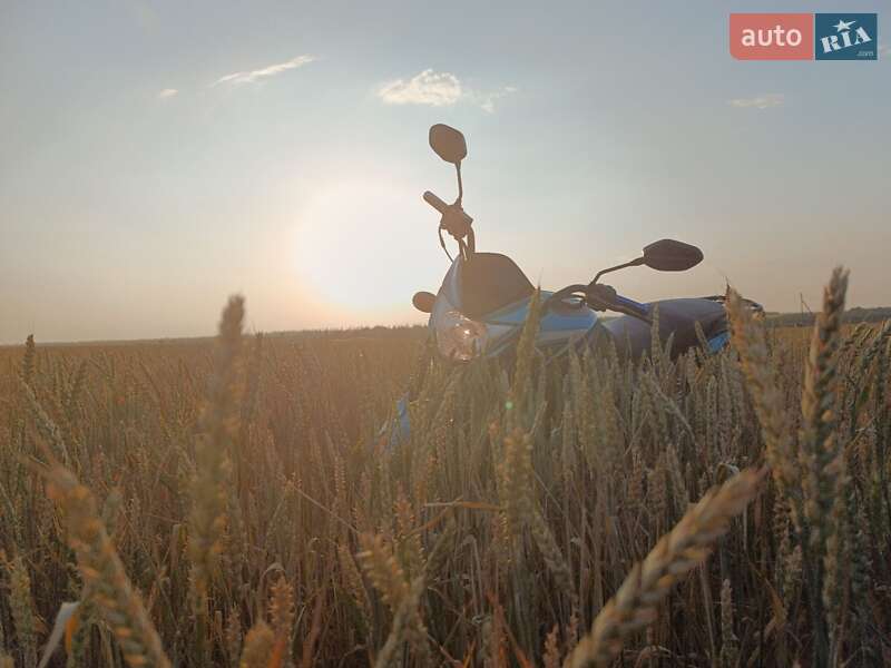 Мопеды Alpha 125 2023 в Березнеговатом фото 7 Мопеды Alpha 125 2023 в Березнеговатом