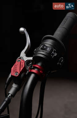 Мотоцикл Внедорожный (Enduro) Arctic Leopard E-X 800 2024 в 