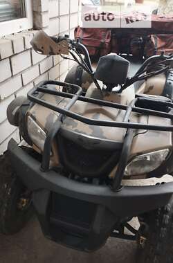 Квадроцикл утилітарний ATV 250 2017 в Криничках