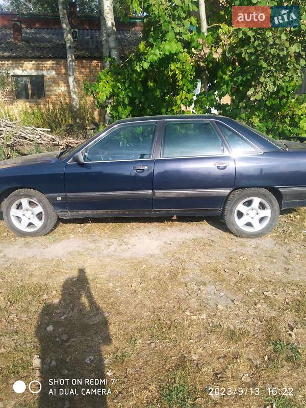 Audi 100 1989 Audi 100 1989