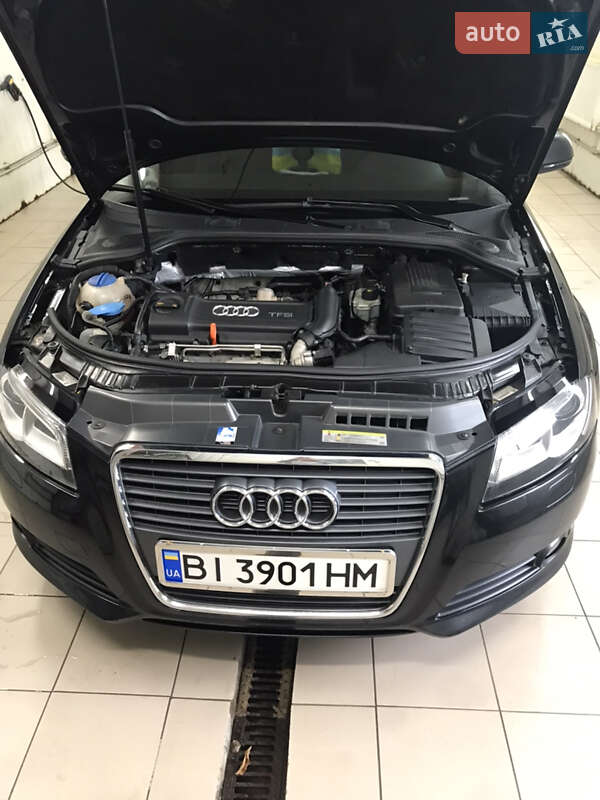 Хетчбек Audi A3 2010 в Карлівці фото 13 Хетчбек Audi A3 2010 в Карлівці
