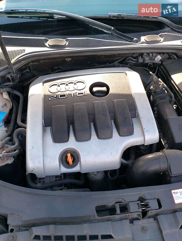 Хетчбек Audi A3 2004 в Луцьку фото 12 Хетчбек Audi A3 2004 в Луцьку