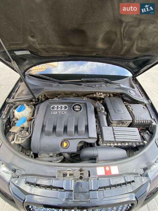 Хэтчбек Audi A3 2008 в Житомире фото 13 Хэтчбек Audi A3 2008 в Житомире