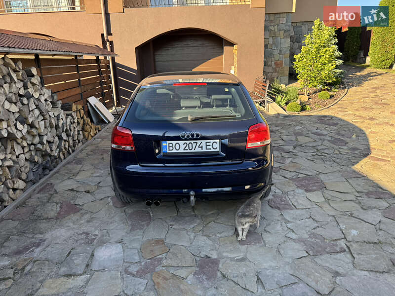 Хэтчбек Audi A3 2006 в Тернополе фото 20 Хэтчбек Audi A3 2006 в Тернополе