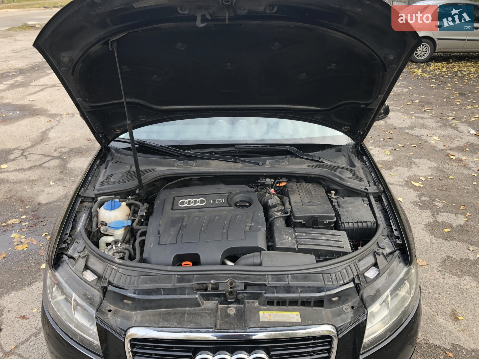 Audi A3 2010 VIN WAUZZZ8P4BA004582 фото оголошення 9 з 16