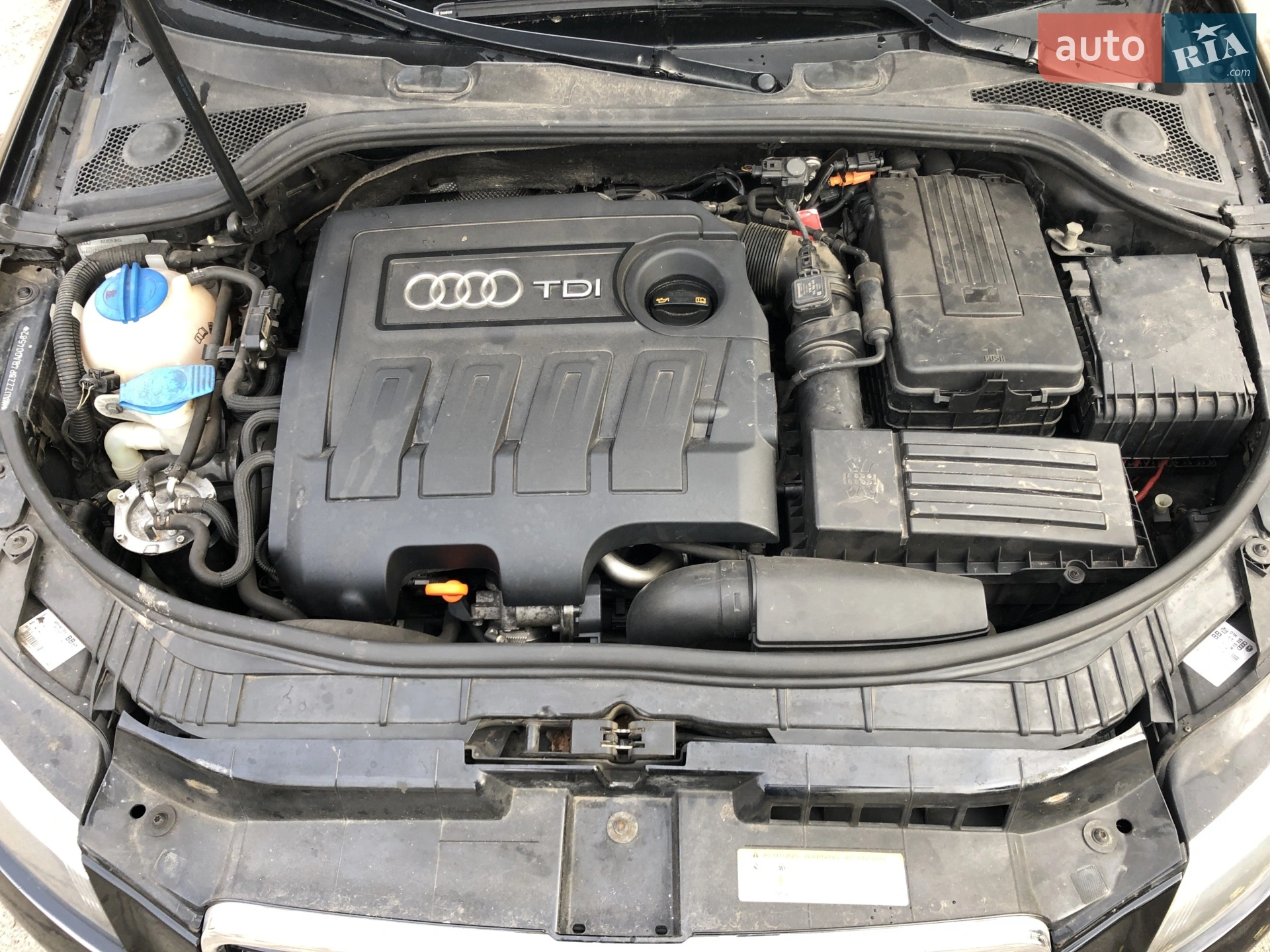 Audi A3 2010 VIN WAUZZZ8P4BA004582 фото оголошення 10 з 16