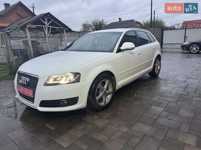 Хэтчбек Audi A3 2008 в Ромнах фото 27 Хэтчбек Audi A3 2008 в Ромнах