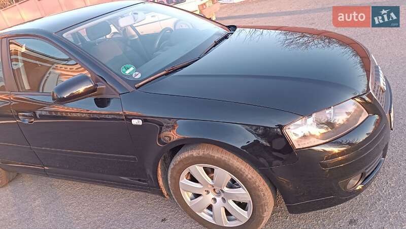 Хэтчбек Audi A3 2007 в Хмельнике фото 16 Хэтчбек Audi A3 2007 в Хмельнике